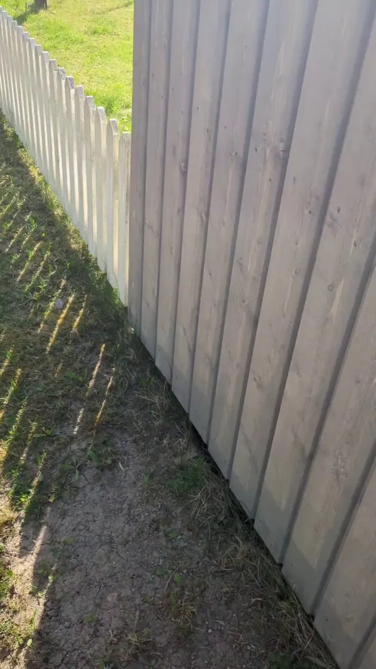 Surprising my dog after work