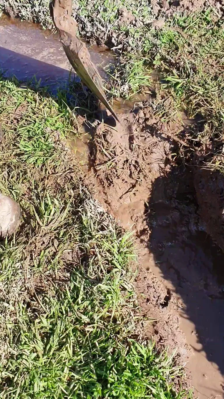 Ground water running to drain