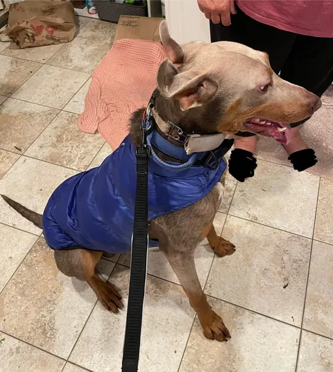 I bet you’ve never seen ears like these before!