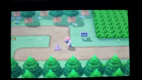 Why is no one talking about this hilariously bad ekans following animation? I can't be the only person who genuinely likes ekans and arbok and chose to have it follow me, only to be greeted by this