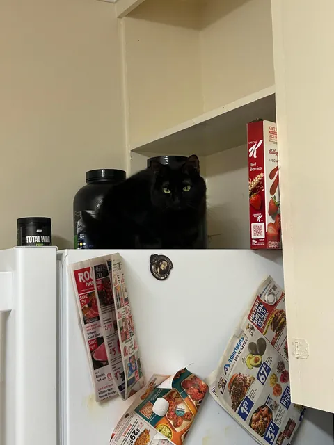 Angry and disappointed I wouldn’t let them play the piano