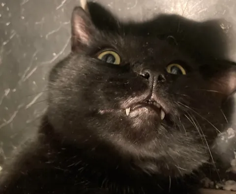 It’s taken me a while to make this post, but here is my sweet man Benjamin <3