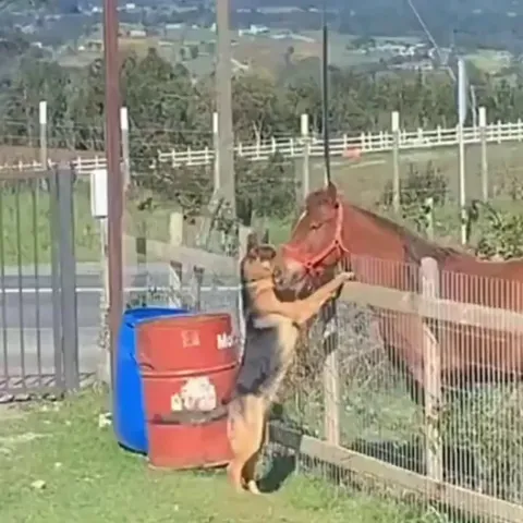 Oh hello, neighbour!