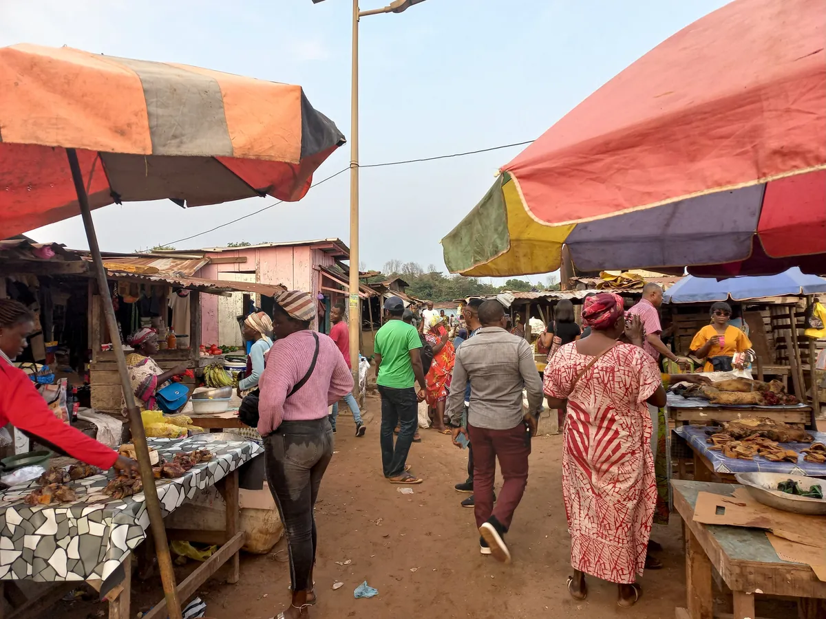 Pics from my two trips to Gabon in central Africa (Aug 2024&amp;2025)