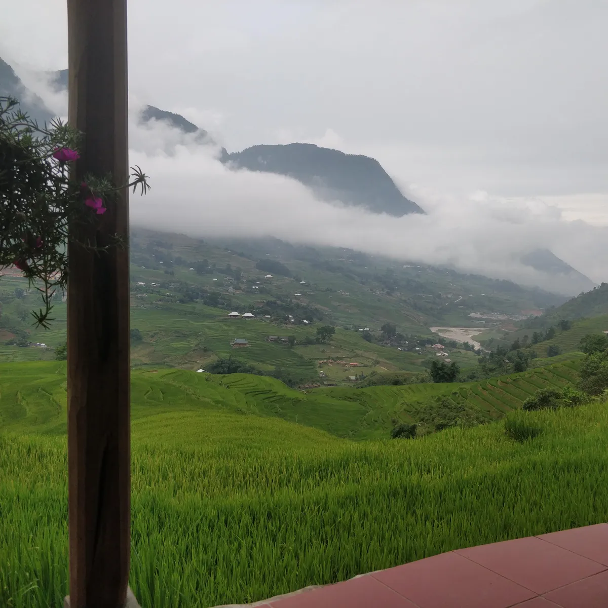 The view from my homestay in Sapa, Vietnam