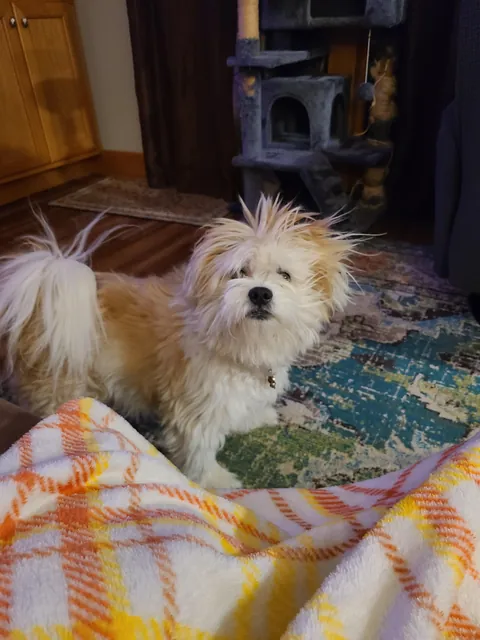 It's that time of year . . . when the static kicks in