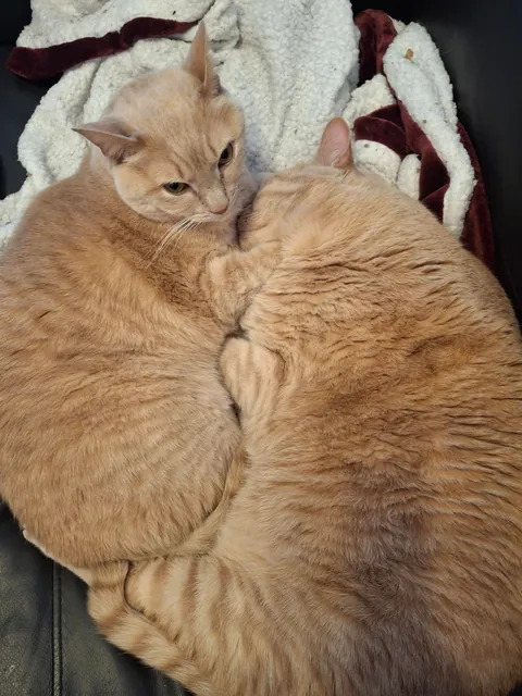 My babies, Zapp and Kif