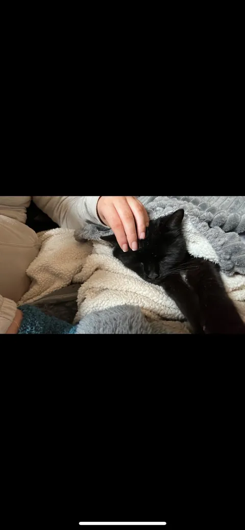 my darling boy of 18 years lost today. I love you