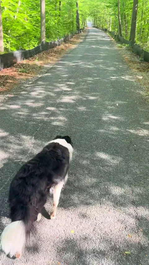 Eko always stops or slows down so my slow self can catch up.