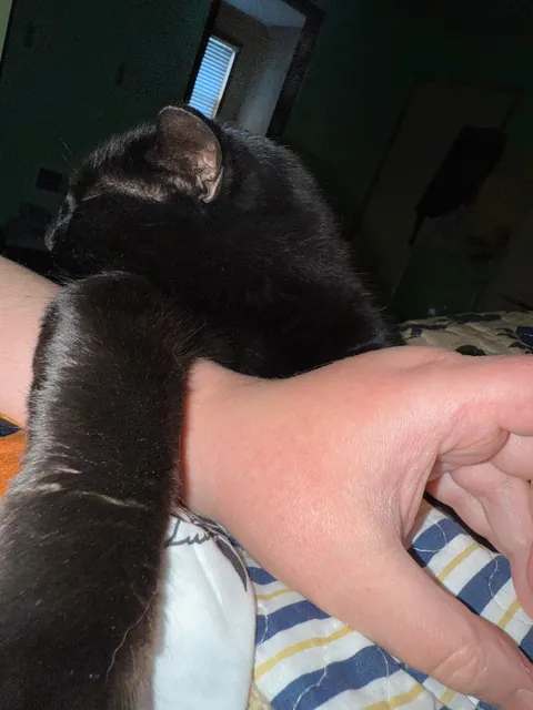 Is this even normal?