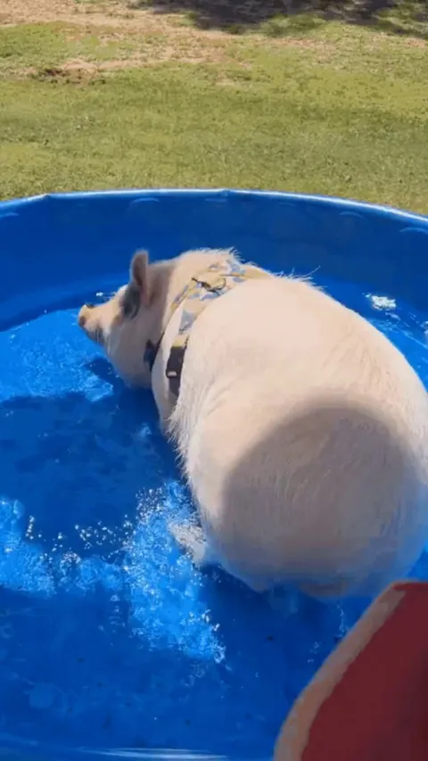 Doing some exercises at the pool