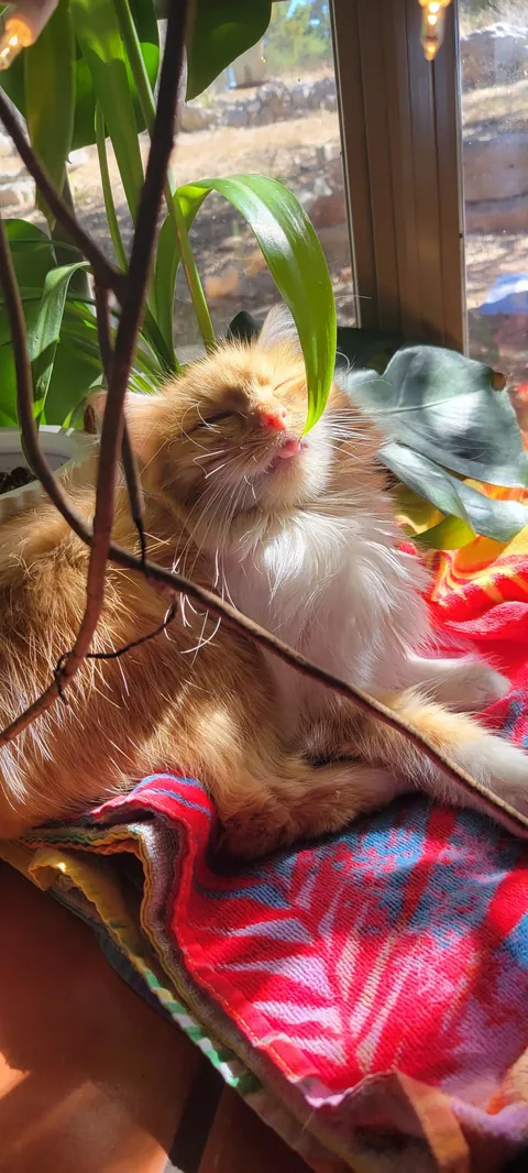 Woke up this morning and she was gone.