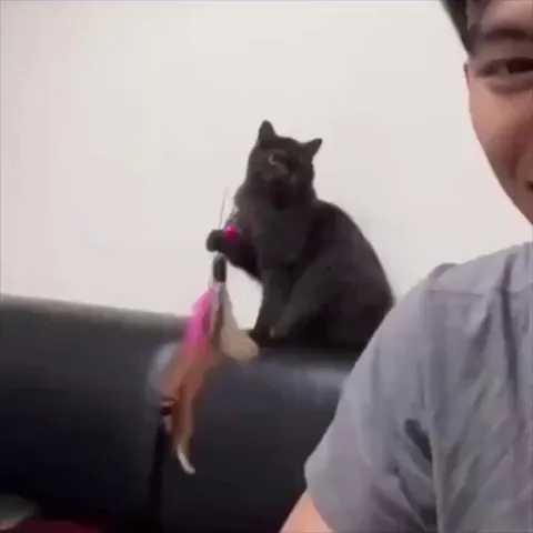 He wants to be the owner.