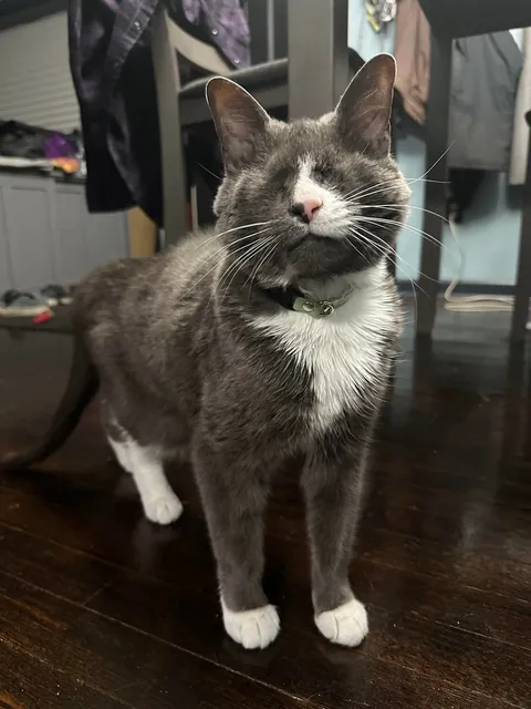 It’s Braille’s 9th Birthday!