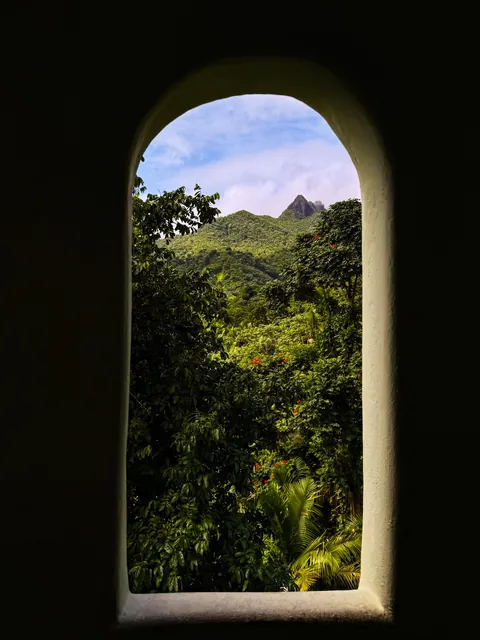 Puerto Rico Highlights from Our Family Trip 🇵🇷