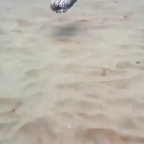 The way this Octopus activates stealth mode