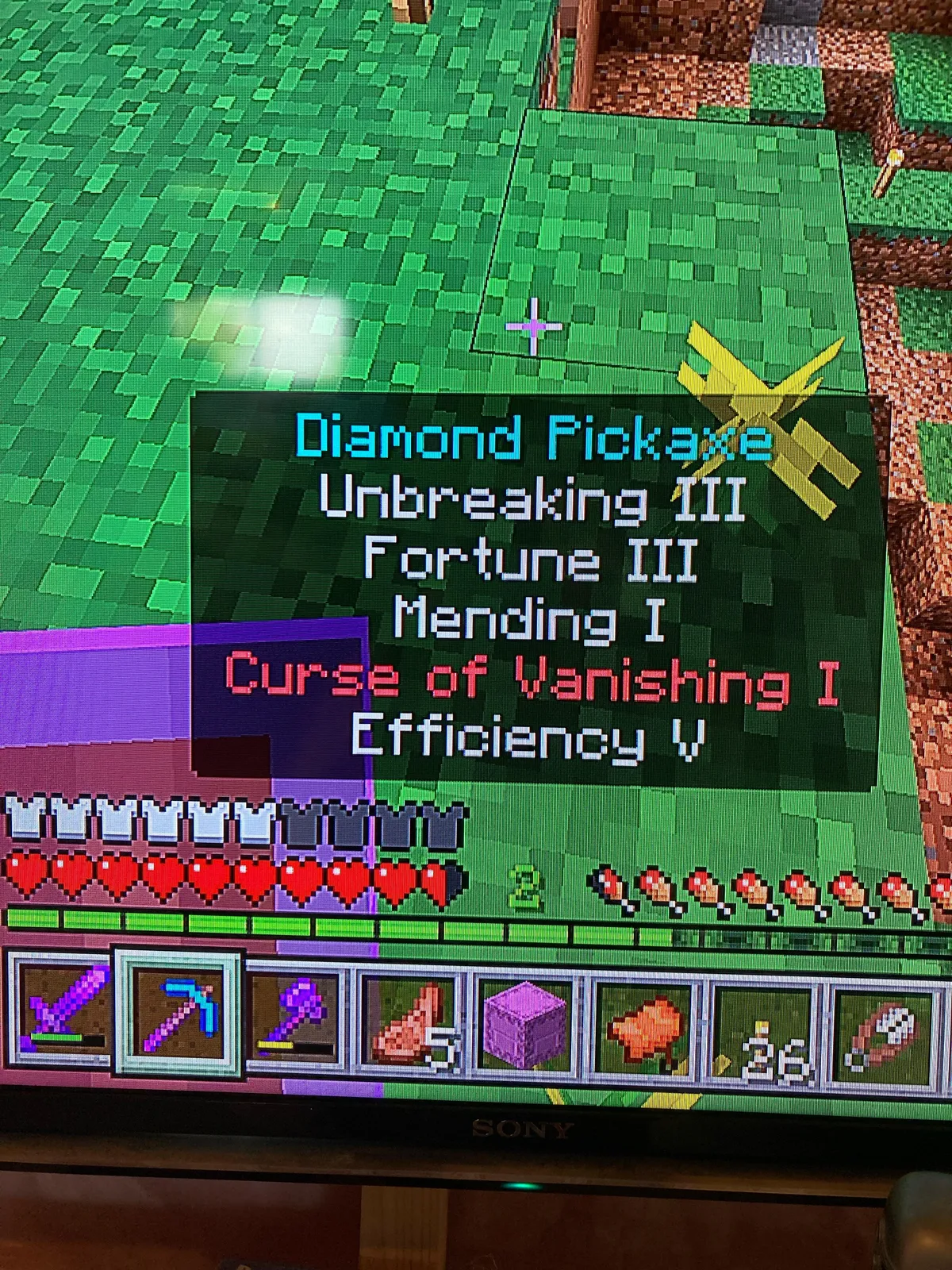 Wtf happened to my pickaxe????