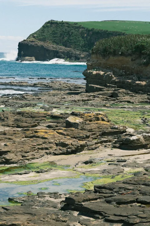 First days in New Zealand: The Catlins