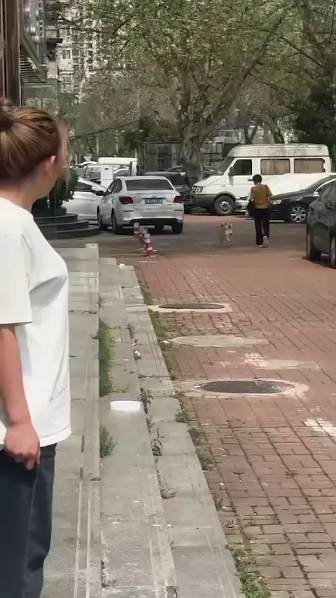 The Happiest Doggo of The World :)