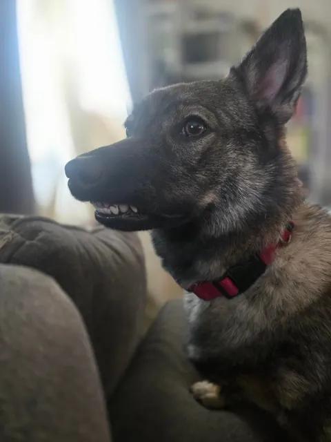 Shelob hopes you have a good weekend!