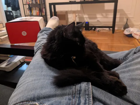 I'm overdue to share my baby, Nessa