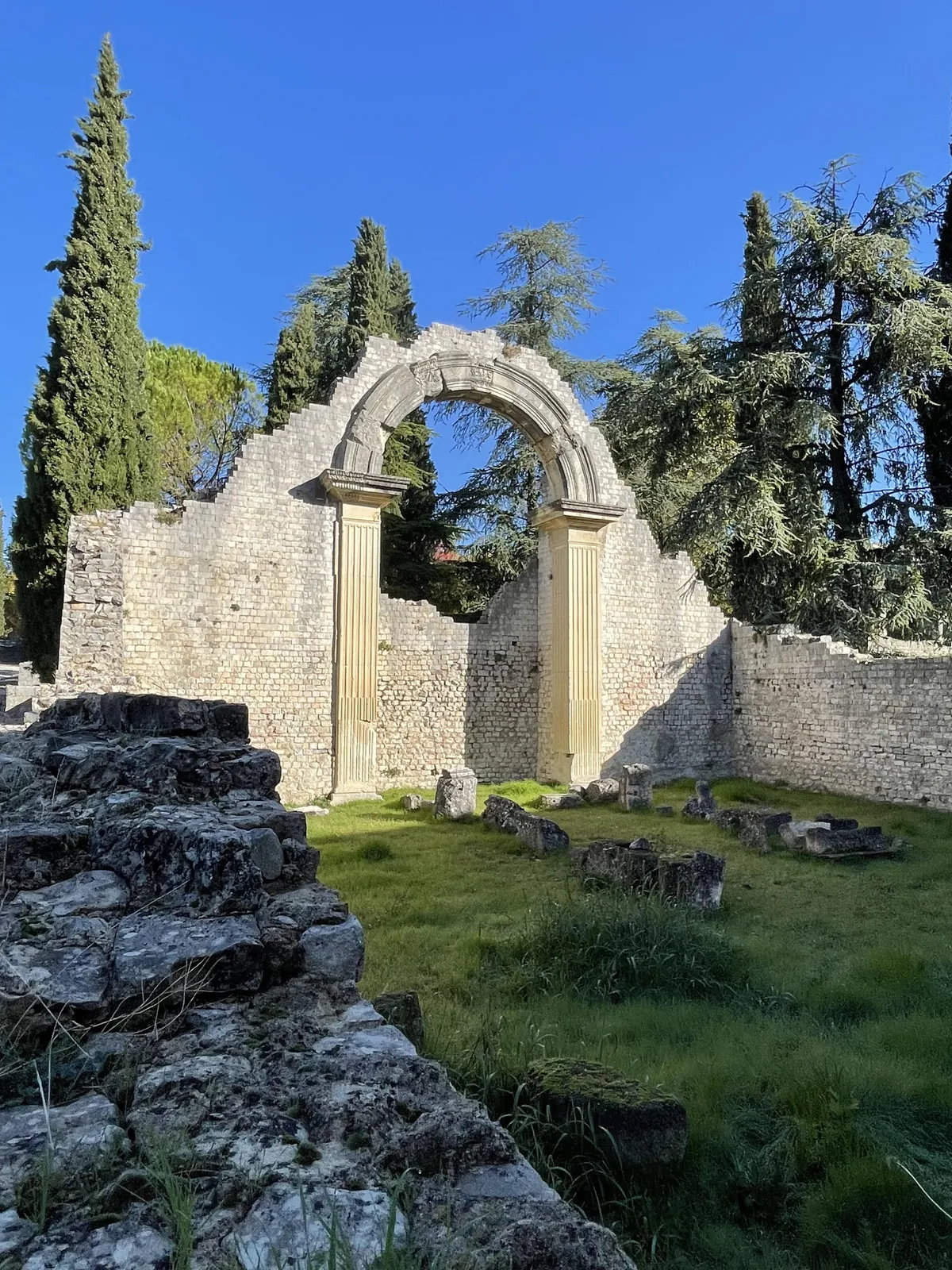 Found this arch on my walk!