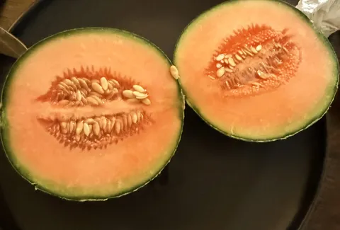 First Melon in my Garden:)