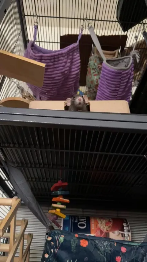 Do you think there’s brain activity?