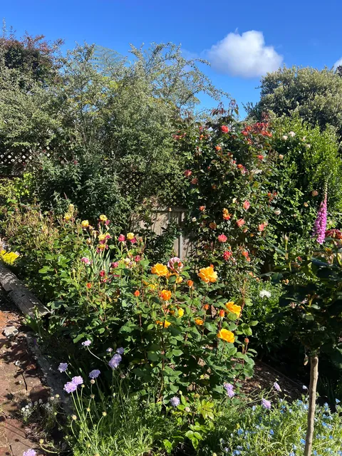 If you love your garden, it’ll love you back (Pt 2)