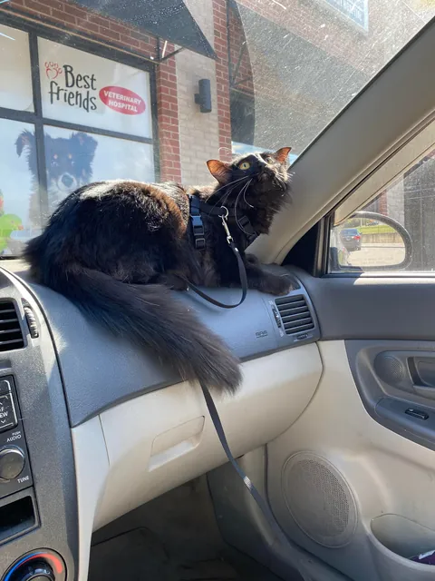 Before and After: Happy First Birthday Maevis!