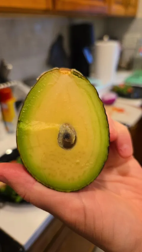 My Avocado Had a Tiny Seed