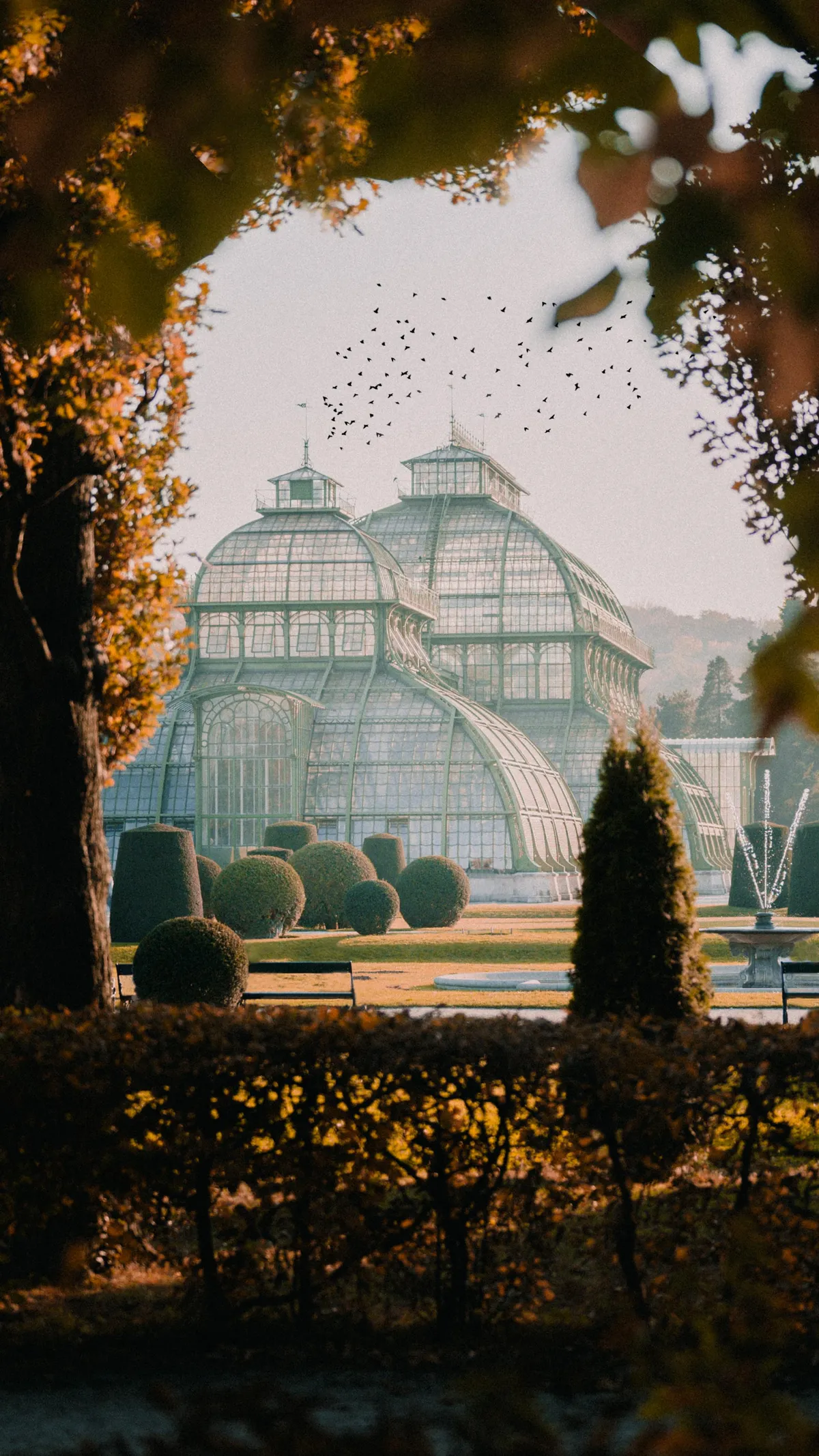 Schönnbrun Palmhouse- Vienna, Austria