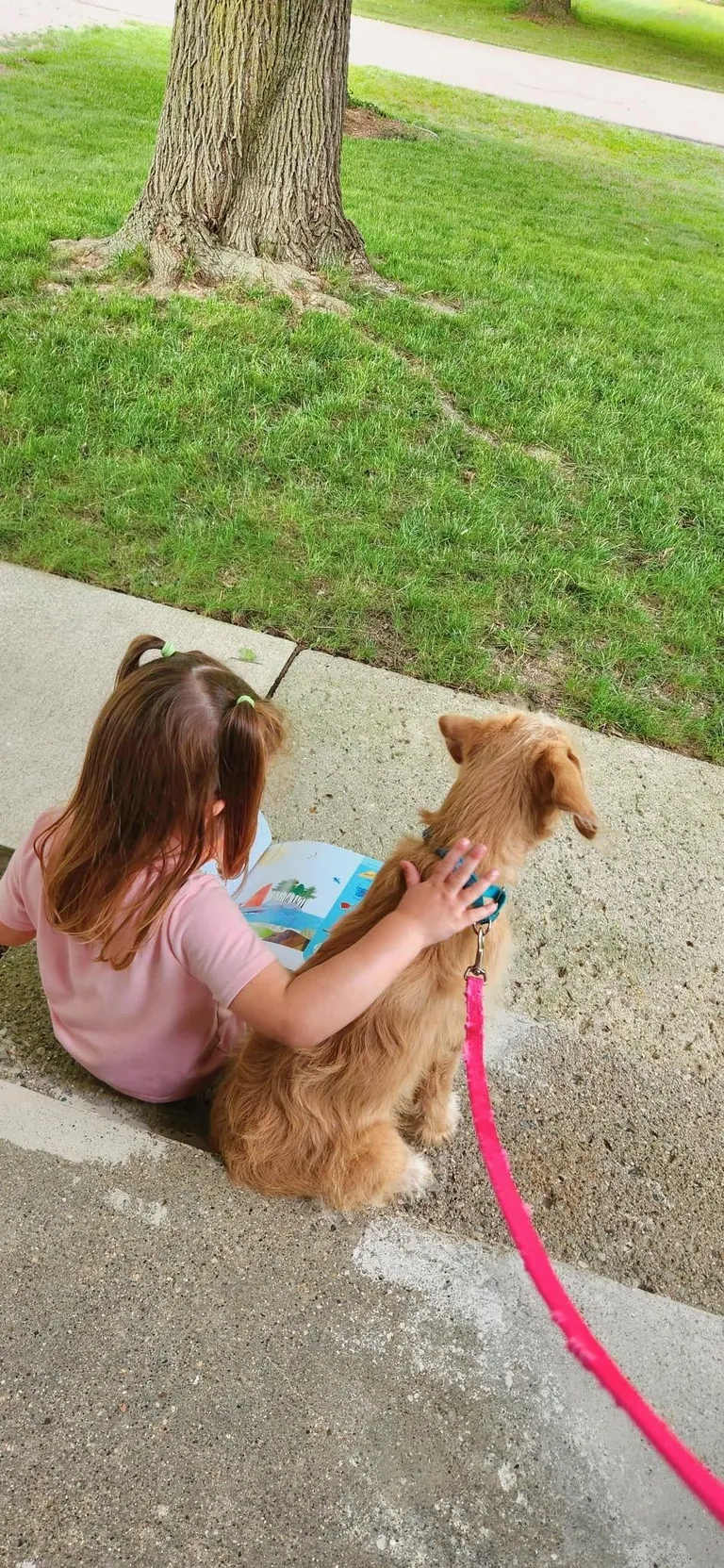 Our Skye puppers🥰