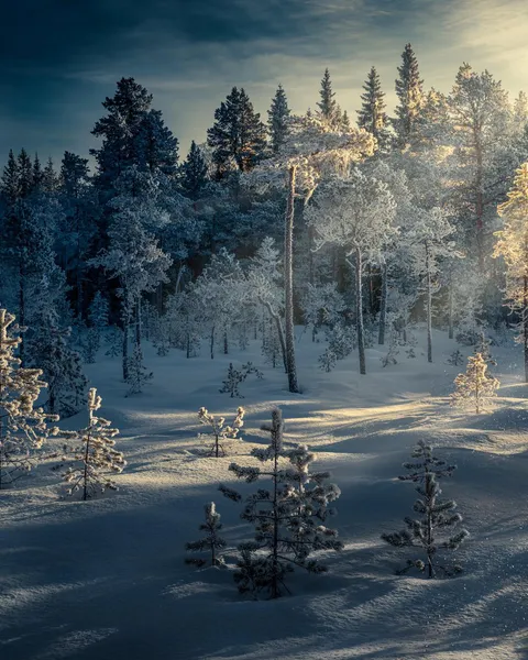 Swedish winter