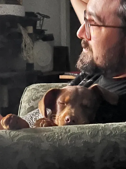 Y’all remember Baby Bowen Arrow? He’s changed a bit 😂 final pic was just taken today. Prepare yourselves.