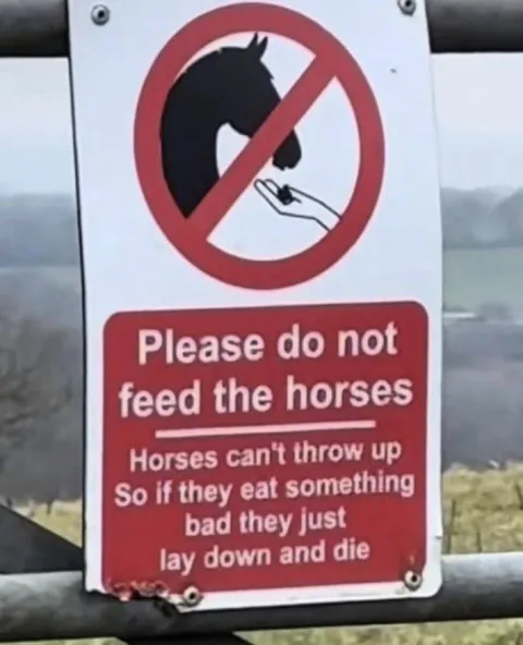 Horses can't throw up? Is that true? I once heard that rats can't either.