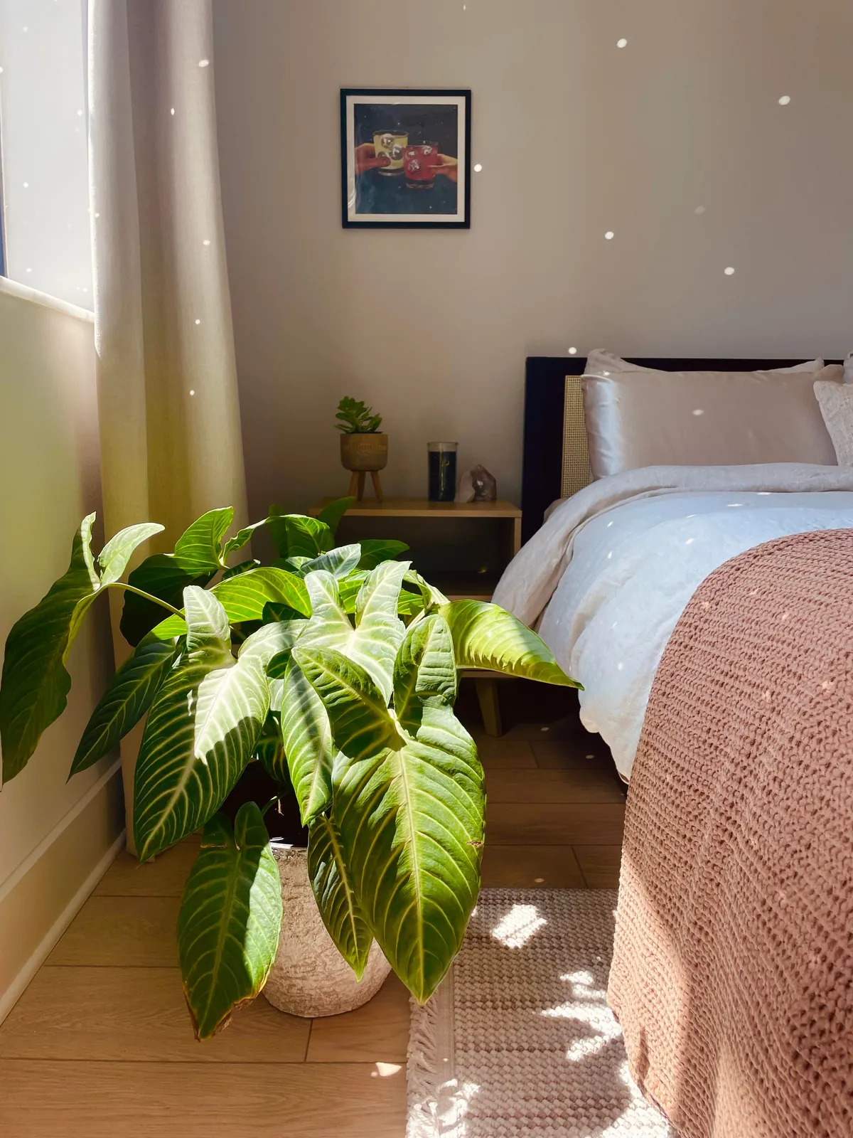 Trying to romanticize my rent🤭