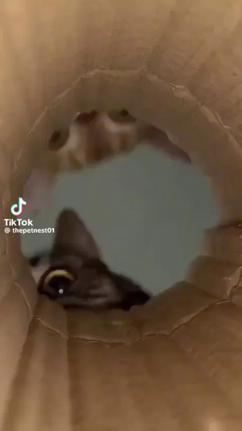 POV: You're a croquette