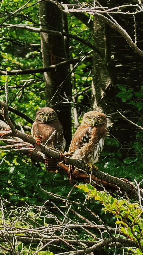 10 days in Carretera Austral, Chile.