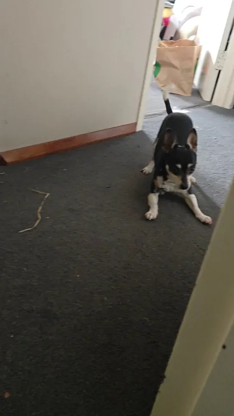 My little girl trying very hard to get me to sit with her