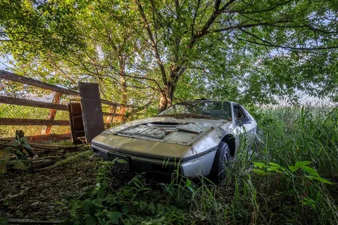 A Pontiac Fiero Left Forgotten in a Field [OC]