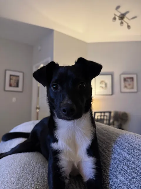 She’s just a bebe 🖤