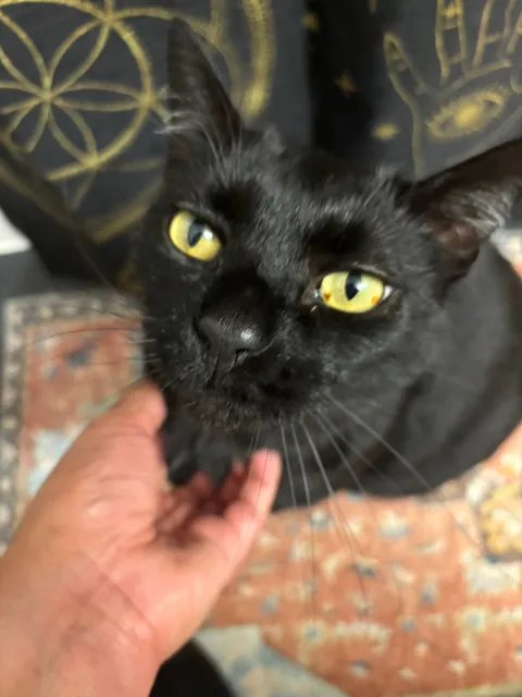 My boy has a tiny heart in his eye. ♥️