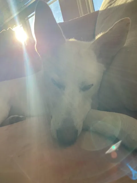 Fern update 1yr later