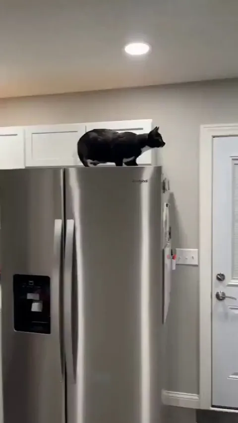 Never Let Them Know Your Next Move