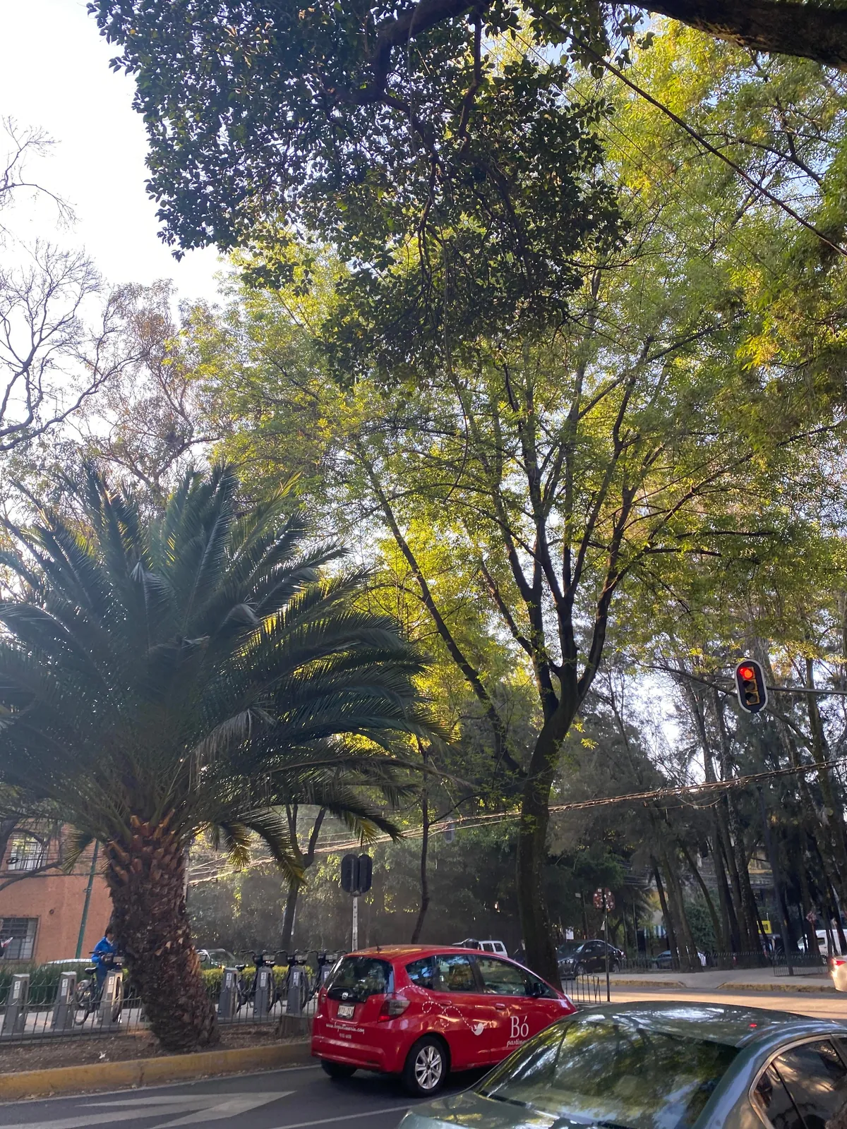 Mexico City had the Lushest, Greenest, Most Beautiful Neighborhoods I've Ever Seen