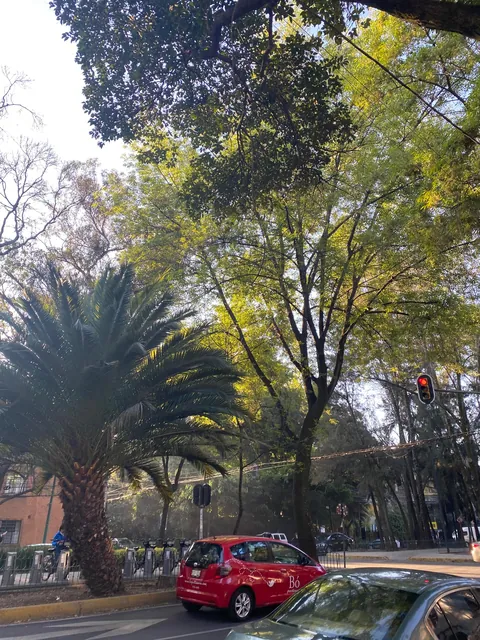 Mexico City had the Lushest, Greenest, Most Beautiful Neighborhoods I've Ever Seen