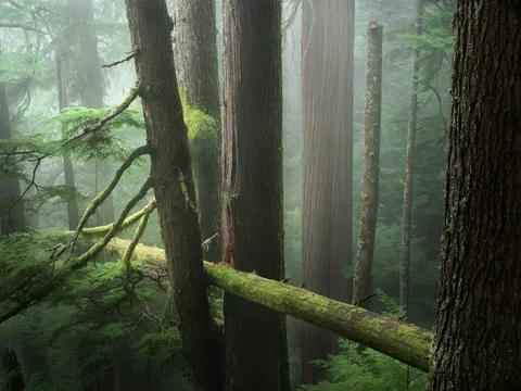 In the clouds, North Shore, BC, Canada [OC][1900x1425]