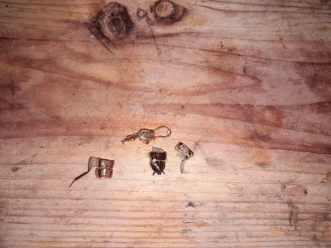 Halfway through my delicious 2 minute noodles (It was in my mouth and i spit it out)