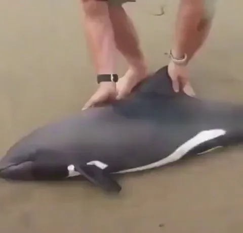 Sometimes you get lost, but if there are helpful people - good job